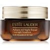 Estée Lauder Advanced Night Repair Overnight Treatment hydratačný nočný krém proti vráskam 65 ml Estée Lauder Advanced Night Repair Overnight Treatment hydratačný nočný krém proti vráskam 65 ml