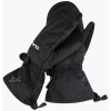 Dakine Scout mitt black 20/21
