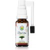 Salvia Paradise Dračia krv ústny sprej na podporu imunitného systému 20 ml Salvia Paradise Dračia krv ústny sprej na podporu imunitného systému 20 ml