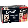 Megabalenie Cesar mištičky 24 x 150 g - Classic Terrine Megabalenie Cesar mištičky 24 x 150 g - Classic Terrine