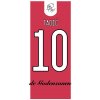 Superfutbal Maketa dresu AJAX Amsterdam, červená / biela Rozmer: A4, Meno a číslo: Tadic 10 Superfutbal Maketa dresu AJAX Amsterdam, červená / biela Rozmer: A4, Meno a číslo: Tadic 10