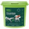Leros Root&Snoot Pulmoran Dých.cesty pro koně sypaná směs1kg Leros Root&Snoot Pulmoran Dých.cesty pro koně sypaná směs1kg