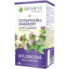 Megafyt Pestrec mariánsky 20× 2,5 g Megafyt Pestrec mariánsky 20× 2,5 g