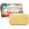 Nesti Dante luxusné prírosné mydlo s havajskou marakujou a guáve Paradiso Tropicale 250 g Nesti Dante luxusné prírosné mydlo s havajskou marakujou a guáve Paradiso Tropicale 250 g
