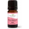 Plant Therapy Rose absolute 5 ml Plant Therapy Rose absolute 5 ml