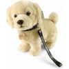 Eco-Friendly pes zlatý retriever stojaci s vodítkom 25 cm