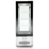 ARKTIC 233283 ARKTIC 233283