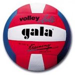 Gala Training colour