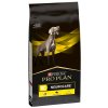Purina VD Canine - NC Neurocare granule pre psy 12kg Purina VD Canine - NC Neurocare granule pre psy 12kg