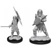 WizKids D&D Nolzur's Marvelous Miniatures Human Fighter Male