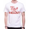 Fajntričko V Pánske tričko - Mám chuť na MELÓNY Fajntričko V Pánske tričko - Mám chuť na MELÓNY