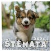 Nástenný kalendár 2026 Šteňatá Nástenný kalendár 2026 Šteňatá