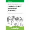Obrazový slovník veterinární anatomie M Constantinescu. Gheorghe 2025