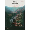 Černé srdce - Silvia Avallone Černé srdce - Silvia Avallone