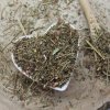 Pakost smradľavý - vňať narezaná - Geranium robertianum - Herba geranii robertianae 50 g Pakost smradľavý - vňať narezaná - Geranium robertianum - Herba geranii robertianae 50 g