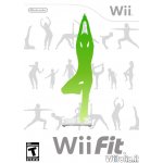 Wii fit