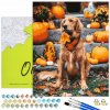 MAĽOVANIE PODĽA ČÍSEL Pes Obrázky Na Maľovanie Podľa Čísel S RÁMOM Oh Art MAĽOVANIE PODĽA ČÍSEL Pes Obrázky Na Maľovanie Podľa Čísel S RÁMOM Oh Art