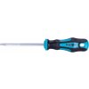 EXTOL PREMIUM 8819247 Skrutkovač T25 100mm, magnetický TORX, CrV EXTOL PREMIUM 8819247 Skrutkovač T25 100mm, magnetický TORX, CrV