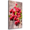 Vertikálny moderný fotoobraz canvas na ráme Maliny 50x100 cm Vertikálny moderný fotoobraz canvas na ráme Maliny 50x100 cm
