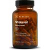Herbavia Shatavari extrakt 700 mg 60 kapslí Herbavia Shatavari extrakt 700 mg 60 kapslí