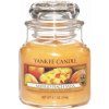 Yankee Candle Mango Peach Salsa vonná sviečka 104 g