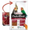 VERSELE LAGA VL Orlux NutriBird G14 Original- extrudy pre stredne veľké papagáje s tuzemským ovocím na denné kŕmenie 1 kg VERSELE LAGA VL Orlux NutriBird G14 Original- extrudy pre stredne veľké papagáje s tuzemským ovocím na denné kŕmenie 1 kg