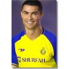 Ronaldo portrét obraz na stenu Ronaldo portrét obraz na stenu