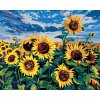 ZUTY Maľovanie podľa čísel SLNEČNICE POD MODROU OBLOHOU Rámovanie vypnuté plátno na rám Rozmer 80 x 100 cm