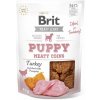 Brit Jerky Puppy Turkey Meaty Coins 80 g Brit Jerky Puppy Turkey Meaty Coins 80 g