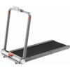 Kingsmith WalkingPad MC21 Kingsmith WalkingPad MC21