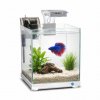 JK Animals JK-A221 akvarium biele 22 x 22 x 25 cm, 9 l JK Animals JK-A221 akvarium biele 22 x 22 x 25 cm, 9 l