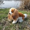 Eco-Friendly pes gavalier King Charles španiel 28 cm
