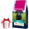 EUKANUBA krmivo pre dospelých kurčiat veľkých plemien 15 kg + Prekvapenie pre psa zadarmo! EUKANUBA krmivo pre dospelých kurčiat veľkých plemien 15 kg + Prekvapenie pre psa zadarmo!