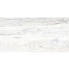 Dlažba imitácia dreva DENVER White 30x60 cm Dlažba imitácia dreva DENVER White 30x60 cm