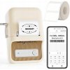Niimbot B21S SMART Niimbot B21S SMART