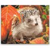 Diamantové maľovanie - Ježko v lístie - 100x80 cm, bez dřevěného rámu - výroba CZ Diamantové maľovanie - Ježko v lístie - 100x80 cm, bez dřevěného rámu - výroba CZ