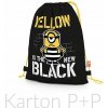 Karton P+P Despicable Me 3 3-88317