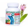 Annabis ARTHROCANN KOLAGEN FORTE VITAMÍNOVÝ KOMPLEX + VÝŽIVA KOLKÁN, 60 tabliet, 87 g Annabis ARTHROCANN KOLAGEN FORTE VITAMÍNOVÝ KOMPLEX + VÝŽIVA KOLKÁN, 60 tabliet, 87 g