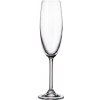 Crystal Bohemia Poháre na sekt COLIBRI 6 x 220 ml
