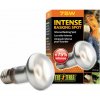 Hagen Exo Terra Intense Basking Spot 75 W Hagen Exo Terra Intense Basking Spot 75 W