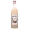 Monin Mandľa 1l Monin Mandľa 1l