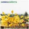 Caribou - Andorra (Limited Edition) (White Coloured) (180 g) (LP) Caribou - Andorra (Limited Edition) (White Coloured) (180 g) (LP)