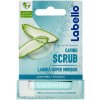 Labello Aloe Vera +Vitamin E balzam na pery 4,8 g