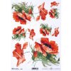 Ryžový papier - A4 - vlčií mak - motív R0954 Ryžový papier - A4 - vlčií mak - motív R0954