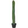 Mexický kaktus zelený, 97 cm Mexický kaktus zelený, 97 cm