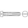 TOOLCRAFT 141719 skrutka závitorezná M5 12 mm drážka DIN 7513 ocel glavanizované zinkom 1000 ks; 141719 TOOLCRAFT 141719 skrutka závitorezná M5 12 mm drážka DIN 7513 ocel glavanizované zinkom 1000 ks; 141719