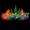 Sumo Seeds - Appleberry 3 ks - Semená neobsahujú THC Sumo Seeds - Appleberry 3 ks - Semená neobsahujú THC