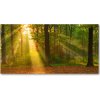 Foto obraz akrylový Les slnko 100x50 cm Foto obraz akrylový Les slnko 100x50 cm