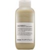 Davines Essential Haircare Momo Hair Potion bezoplachová starostlivosť pre suché a poškodené vlasy 150 ml Davines Essential Haircare Momo Hair Potion bezoplachová starostlivosť pre suché a poškodené vlasy 150 ml