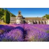 Castorland puzzle 1000 dílků - Levandulové pole v Provence Castorland puzzle 1000 dílků - Levandulové pole v Provence